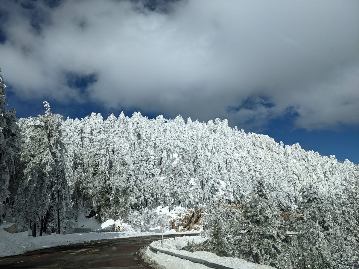 Mt Lemmon Hotel tweet media