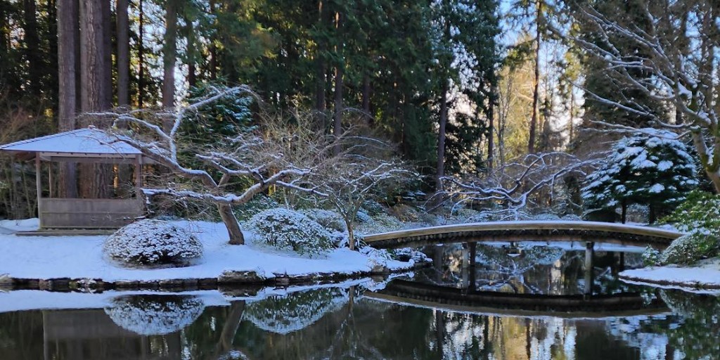 A light dusting of snow adds a dreamy quality to the Nitobe Memorial Garden.  📷: Captured today by Ariel Yu, Garden Staff #nitobegarden #UBC #Vancouver #JapaneseGarden #snow