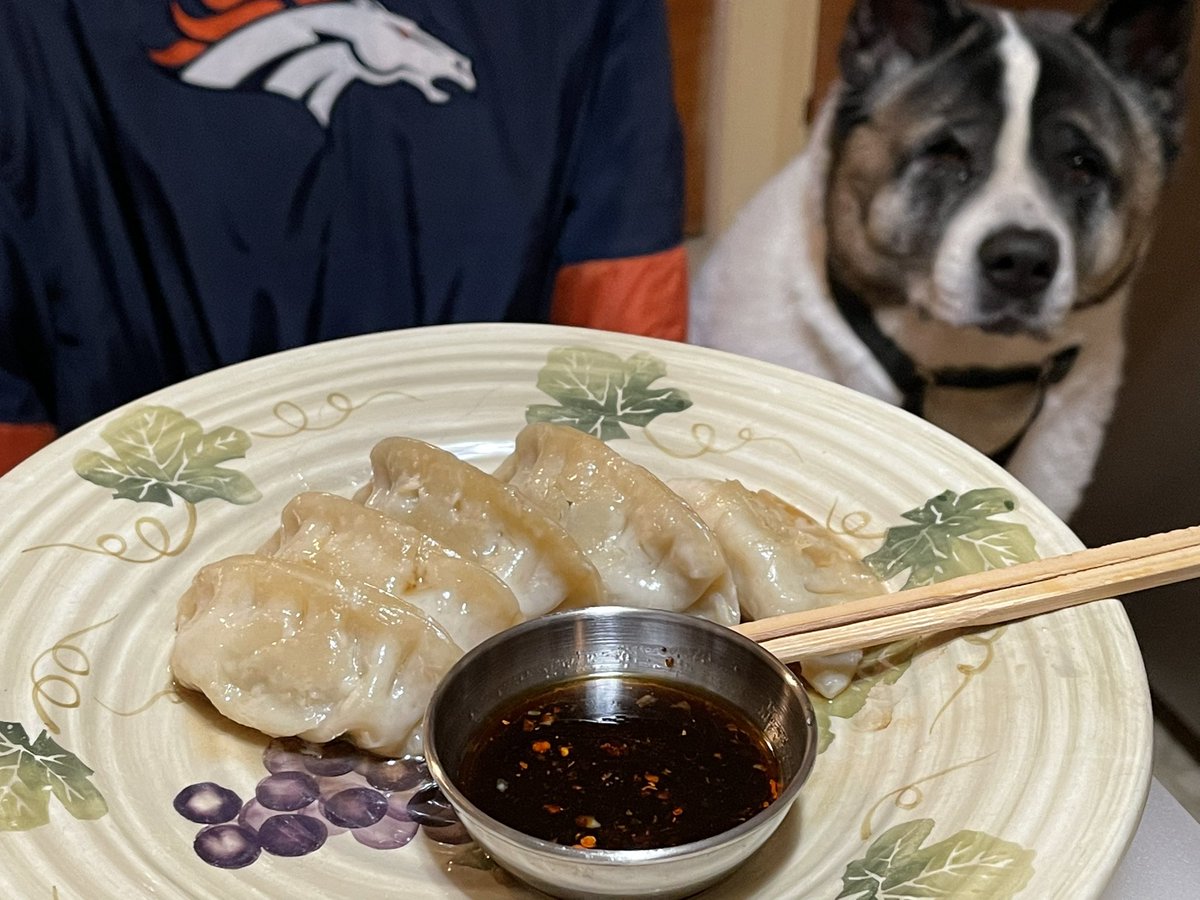 DetMissionCon's tweet image. Rocket 🚀 🐕 helped me make some pan steamed #pork &amp;amp; #vegetable #potstickers 🥟w/ #homemade dumpling sauce for #dinner tonight.#Food #Foodie #thursdayvibes #BroncosCountry #DogsofTwittter #Akita @StewsSauce @dad_mile