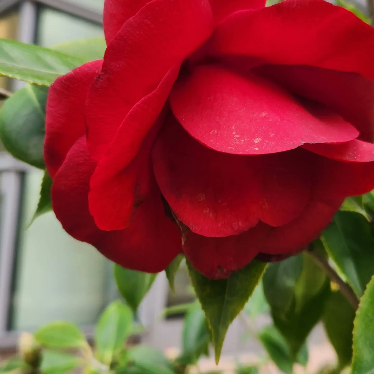 MD_Dupe's tweet photo. Happiness can be found even in the darkest of times, if one only remembers to turn on the light #FlowersofKaiser https://t.co/z6wMyXxmGd