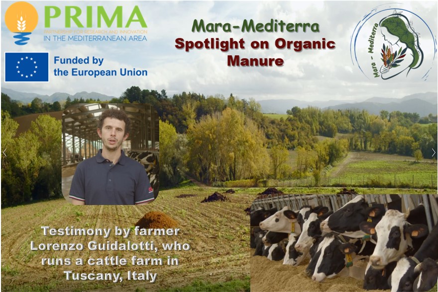 MaraMediterra's tweet photo. 🌿#MaraMediterra Real Life Stories of Working with NbSs
👨‍🌾"Organic manure can effectively reduce the use of synthetic fertilizers in agriculture!"
📽Follow the link (https://t.co/olevcSSkM9)&amp; watch Mr.Guidalotti🇮🇹 testimony on minimum tillage with subtitles in EN, FR, AR, GR &amp; TR https://t.co/TYLMAMeM59