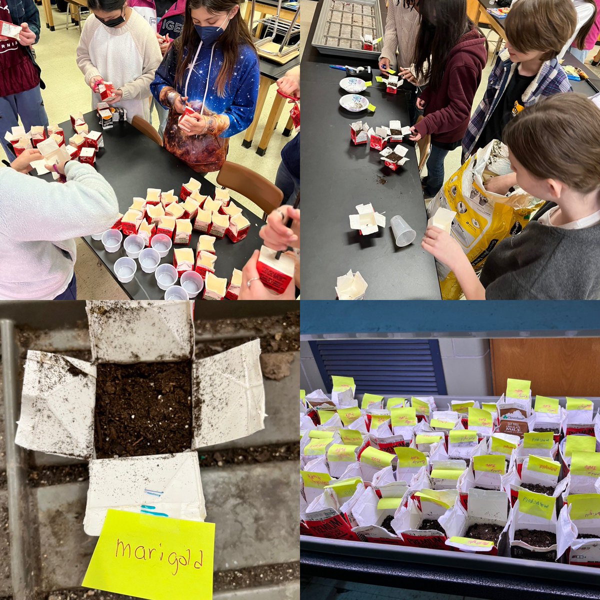 <a href="/CockeysvilleMS/">Cockeysville Middle</a> Green Club reduced their solid waste by collecting juice cartons and using them to plant flowers for Teacher Appreciation Week. With ☀️☀️💧💧we’ll have flowers by May <a href="/MrCarneyCMS/">Mr. Carney</a> <a href="/MAEOE_MD/">MAEOE</a> <a href="/AutumnDeborde/">Autumn DeBorde</a> <a href="/BCPSOutdoorSci/">广州</a> <a href="/BCPSSci/">BCPS Science Office</a> <a href="/SustainableBCPS/">BCPS Sustainability</a>