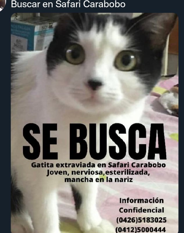 Donde esta Lulú? Por que no aparece? Quien es responsable?