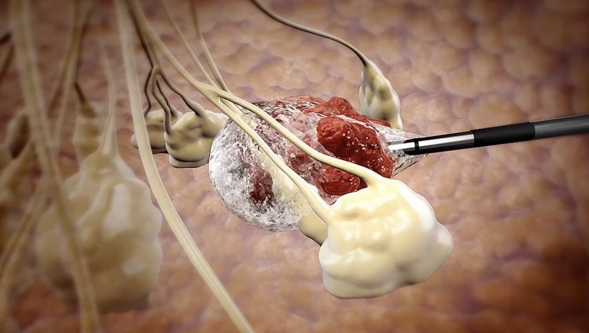 شاكر الشهري / SHAKER ALSHEHRI tweet media