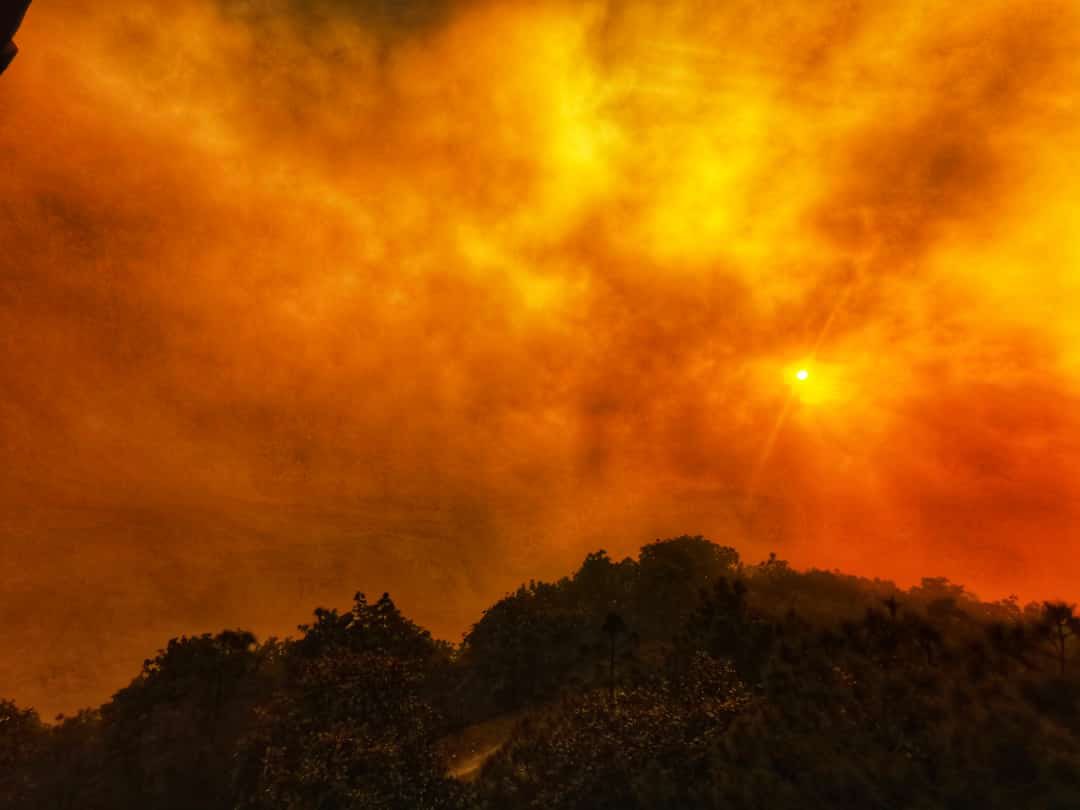 tonatiuhbp's tweet image. Tristes imágenes vemos hoy por el fuego en el Bosque La Primavera. 

Cada año que pasa, la Ciudad pierde más hectáreas de bosque y la respuesta de las autoridades es la misma, ¡exigimos acciones, no pretextos!