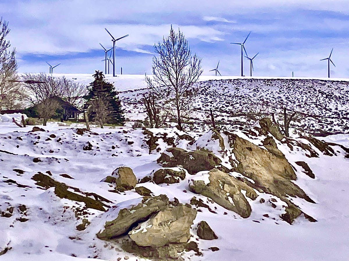 Mandymoonbear's tweet photo. How would you like this to be your back yard?
#nft #nftart #nftphoto #nftpgotography #nftpic https://t.co/QTCyDPHrSw