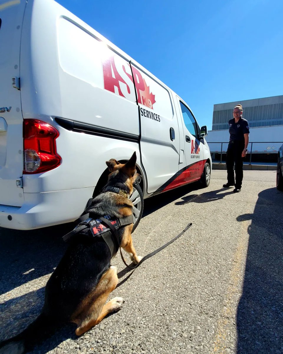 K9unit_ASP's tweet photo. #ThrowbackThursday to warmer weather when we didn’t have to worry about our pups paws in the salt, ice and snow. Hope you and your K9’s are staying warm and driving safely. https://t.co/9Dj15CkD0X