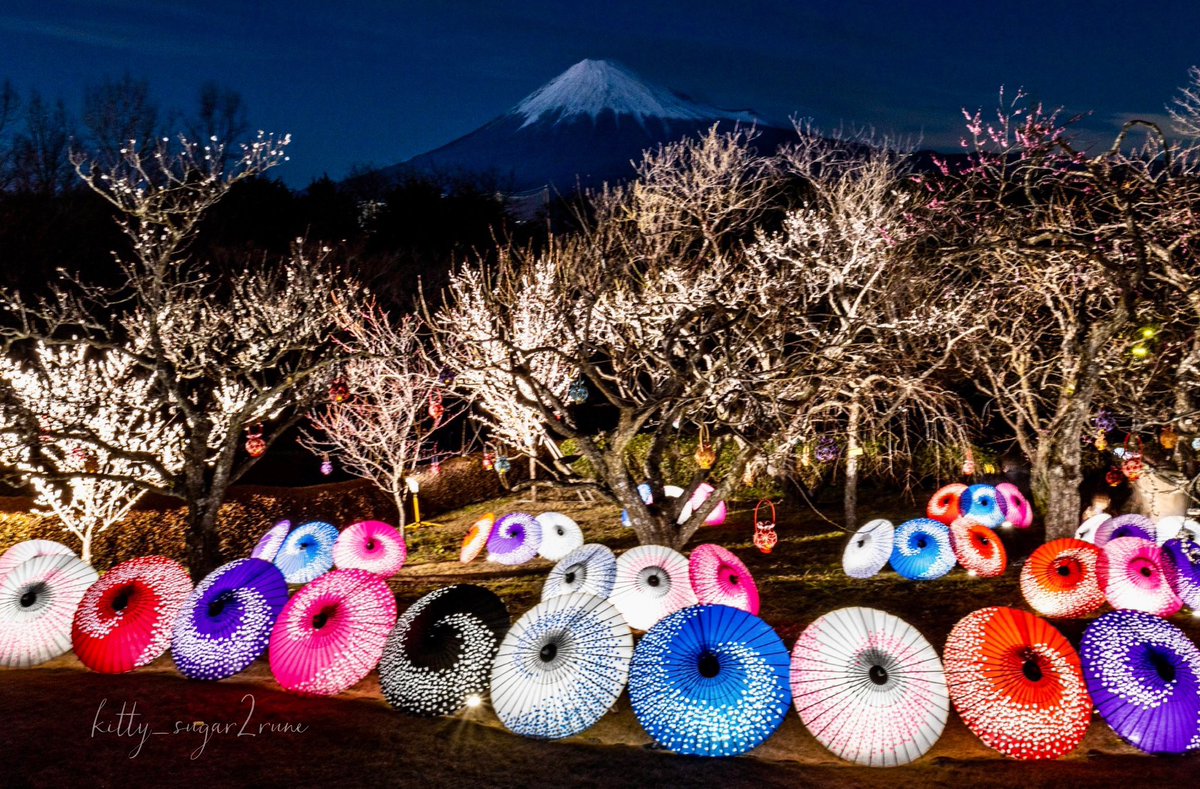 Ygcdg's tweet image. 最近の写活📸
キャンプは来月までお休みです
あ、来週はもう3月ですね

#Canon
#CanonEOSR 
#2月の富士山