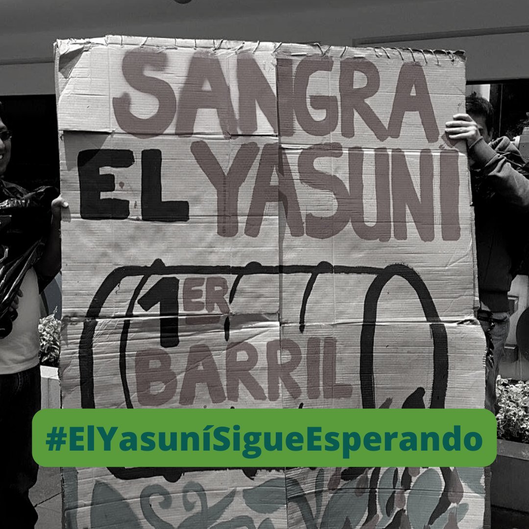 SurkunaEc's tweet photo. Han pasado más de 130 días desde que el caso de la consulta del Yasuní fue sorteado a @CarmenzaCorral pero ella sigue sin siquiera avocar conocimiento ¿por qué la demora? ¡El #Yasuní NO puede esperar más!
#ElYasuníSigueEsperando

@Alozpra @AndradeqKarla @dsalazaca @CorteConstEcu https://t.co/U8jAdxhhAe
