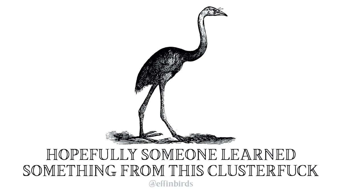 EffinBirds's tweet photo. https://t.co/JMP5KGYZXs