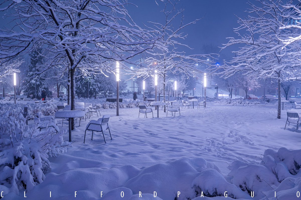 Portland Oregon looks gorgeous with all the snow. 
Historic Snow Event in Portland Oregon. 
#portland #pdx #portlandoregon #snow #winter #orwx #oregon #oregonian