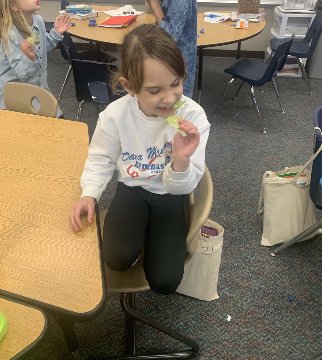 MrsO_TCE's tweet photo. Today we sampled our romaine lettuce from our hydroponic garden. One student said it was the best lettuce he’s ever had! Thank you for this opportunity, @Daniel1Teach! #TCECardinals https://t.co/PXinvsMeaf