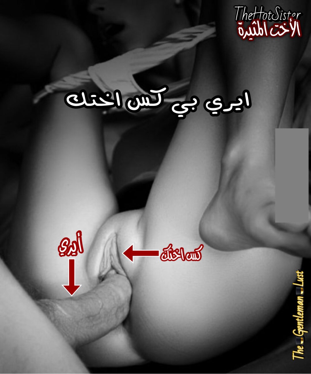 The🎩Gentleman🎩Lust 🇱🇧 on X: الاخت_المثيرة t.corCKXD9Gy6Q  X