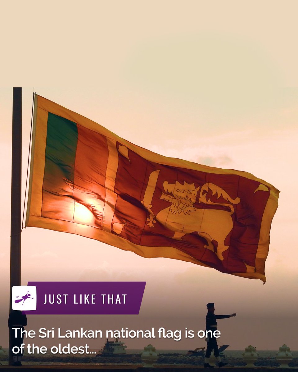 FSHoliday's tweet photo. The #Flag of #SriLanka, also known as Lion Flag, is considered one of the world's oldest, dating back to 162 BC. It is also thought to be the only flag in the world to recognize various religious beliefs...
Visit https://t.co/I7097QfJvb to know more! 
#srilankatravel #wanderlust https://t.co/CNoFshBbza