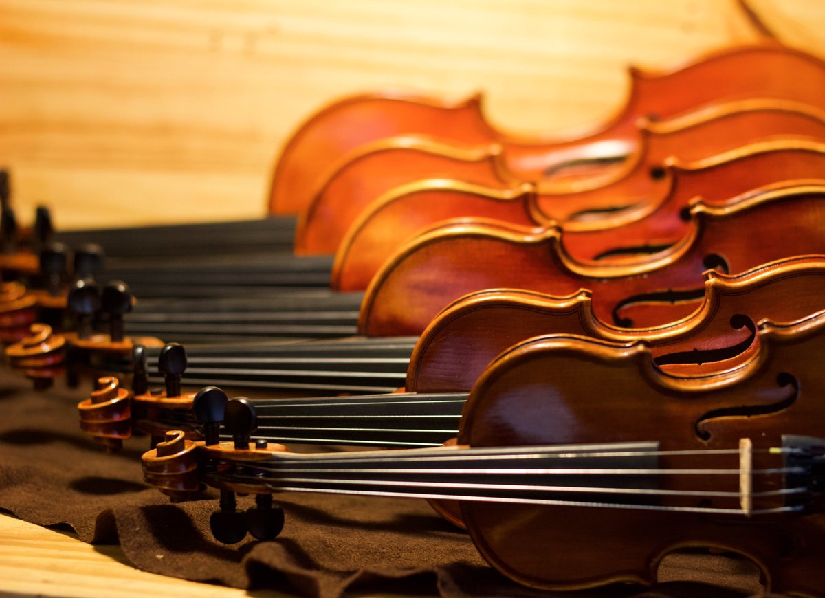 We often get asked if we carry fractional sized instruments and the answer is YES! Violin are available from 4/4 all the way down to an adorable 1/32 size. 

See theviolinshop.com/rentals for more info!
