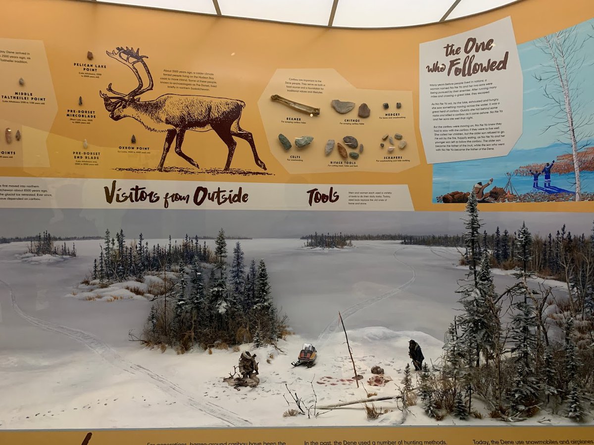 roamlii's tweet image. The Royal Saskatchewan Museum has so many fun facts!
#1 - It is home to the world's largest T-Rex!!  
#2 - It is the first museum in the three prairie provinces, founded in 1906.
#3 - It is free!

#traveltribe #explorecreate #adventure #getoutthere #exploresk #pathfinder365