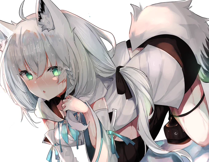 フブキ最高最強いぇーい 