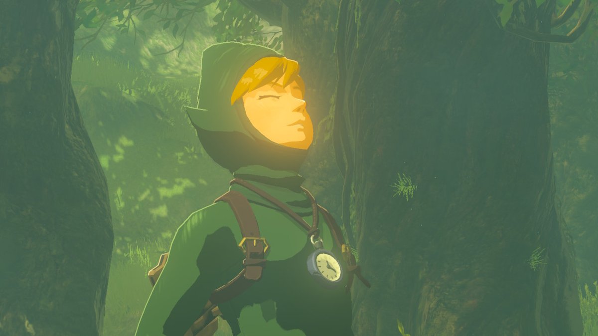 MerficulA's tweet photo. #BreathoftheWild #NintendoSwitch https://t.co/ro7Hd4lmui