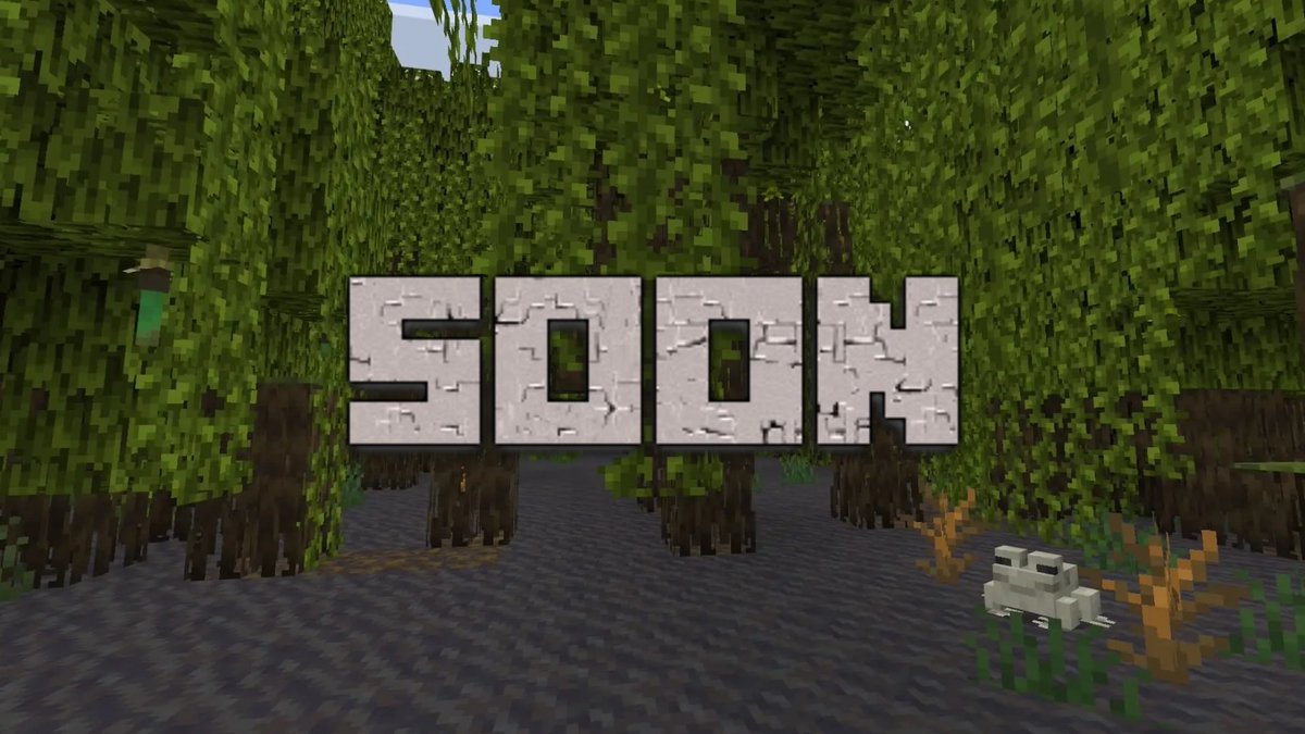 Frog SMP tweet media