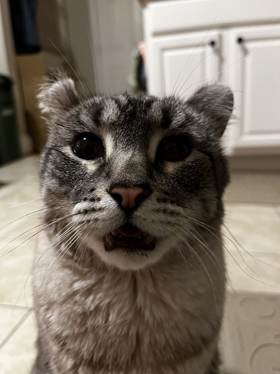 Them stoale tree(3) of myn teefs