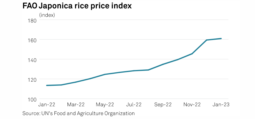 #Japonica #rice supply likely to remain tight in 2023 | okt.to/0OXbZL

#OATT #ricesupply #japonicarice