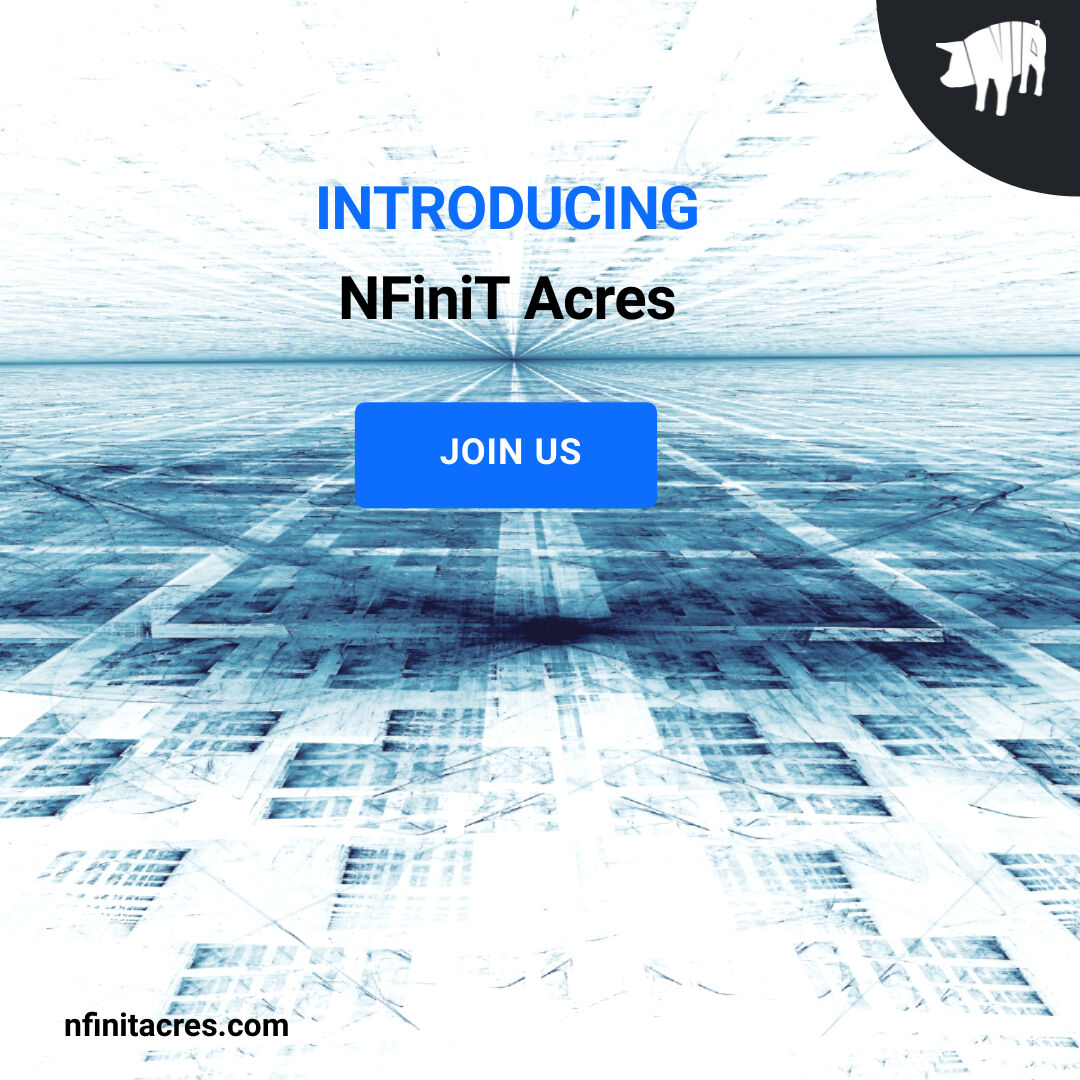 nfinitacres tweet media