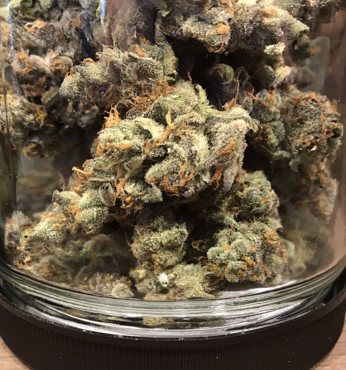 WorldofWeedRec's tweet photo. Artizen Flower is on Sale @WorldofWeedRec (+21) @artizencannabis #artizen #gram #eighth #ounce #bud #zip #flower #minibud #dailydeals #orderonline https://t.co/qiXqAXx3WH https://t.co/QvJWkJvR4f