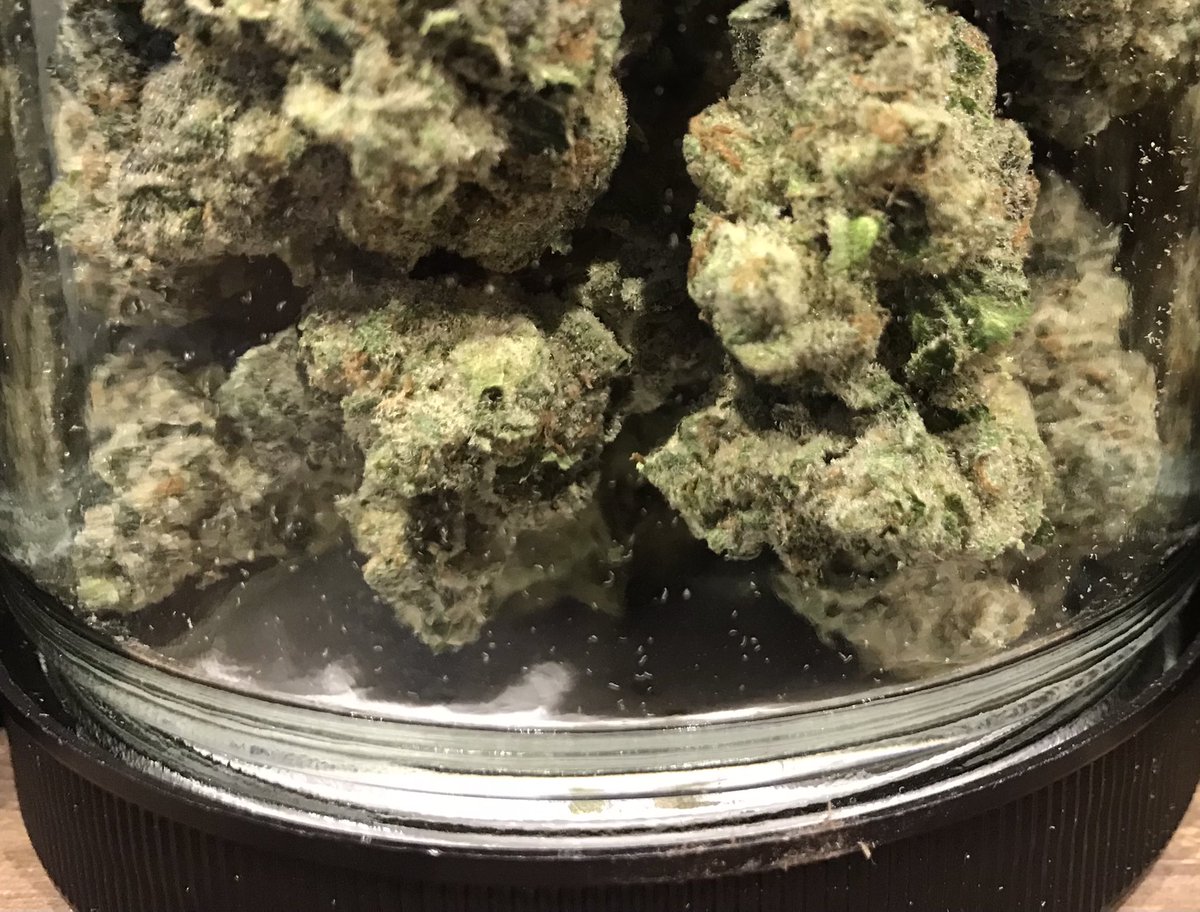 WorldofWeedRec's tweet photo. Artizen Flower is on Sale @WorldofWeedRec (+21) @artizencannabis #artizen #gram #eighth #ounce #bud #zip #flower #minibud #dailydeals #orderonline https://t.co/qiXqAXx3WH https://t.co/QvJWkJvR4f