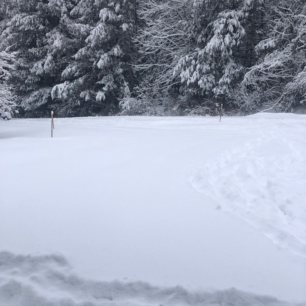 BestWesternVT's tweet photo. Are you kidding me.  Crazy snow up here in Vermont and it just keeps coming.  7 plus inches of snow at most of our local resorts on Wednesday.  Friday should be a powder day instead of a work day.  Start your weekend early with us.
🏂 ❄️ ❄️ 🏂 🏂 ⛷️ ⛷️ 🎿 🌨️ 🌨️ 🌨️ 🌨️ 🌨️ 🌨️ https://t.co/2hYCz7khJl