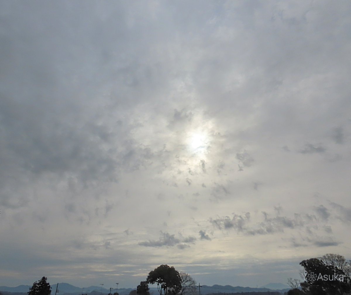 yumeasutw's tweet photo. 空一面グレーのお日様は朧気な金曜日の朝🌥️
電線に佇み一休みの #ハシブトガラス 🐦️
予想最高/最低気温🌡️13℃/0℃
曇り☁️
時折薄日が差すものの雲が多く昨日より体感は寒そうです。
#空の名前
#天気の図鑑
#曇り空 #高層雲 #高積雲
#嘴太烏 #カラス #烏 #crow
#野鳥 #bird
#a2023 #a0224 #a202302 https://t.co/qPdL2jgPB9