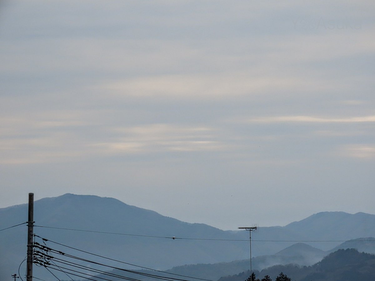 yumeasutw's tweet photo. 空一面グレーのお日様は朧気な金曜日の朝🌥️
電線に佇み一休みの #ハシブトガラス 🐦️
予想最高/最低気温🌡️13℃/0℃
曇り☁️
時折薄日が差すものの雲が多く昨日より体感は寒そうです。
#空の名前
#天気の図鑑
#曇り空 #高層雲 #高積雲
#嘴太烏 #カラス #烏 #crow
#野鳥 #bird
#a2023 #a0224 #a202302 https://t.co/qPdL2jgPB9