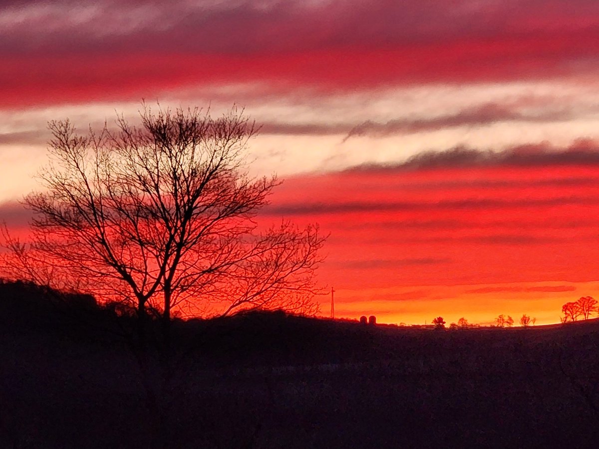 SportsChristina's tweet photo. @WLH1972 @ThePhotoHour #silhouette #sunset #sunsetphotography #redatnight https://t.co/Fs1hU5h78L
