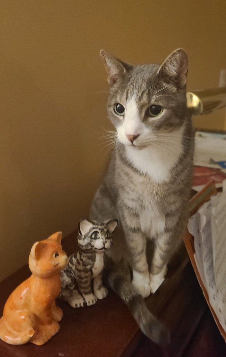 Audrey Olson tweet media