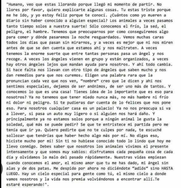 Con el corazón lleno de agujeritos ❤️‍🩹