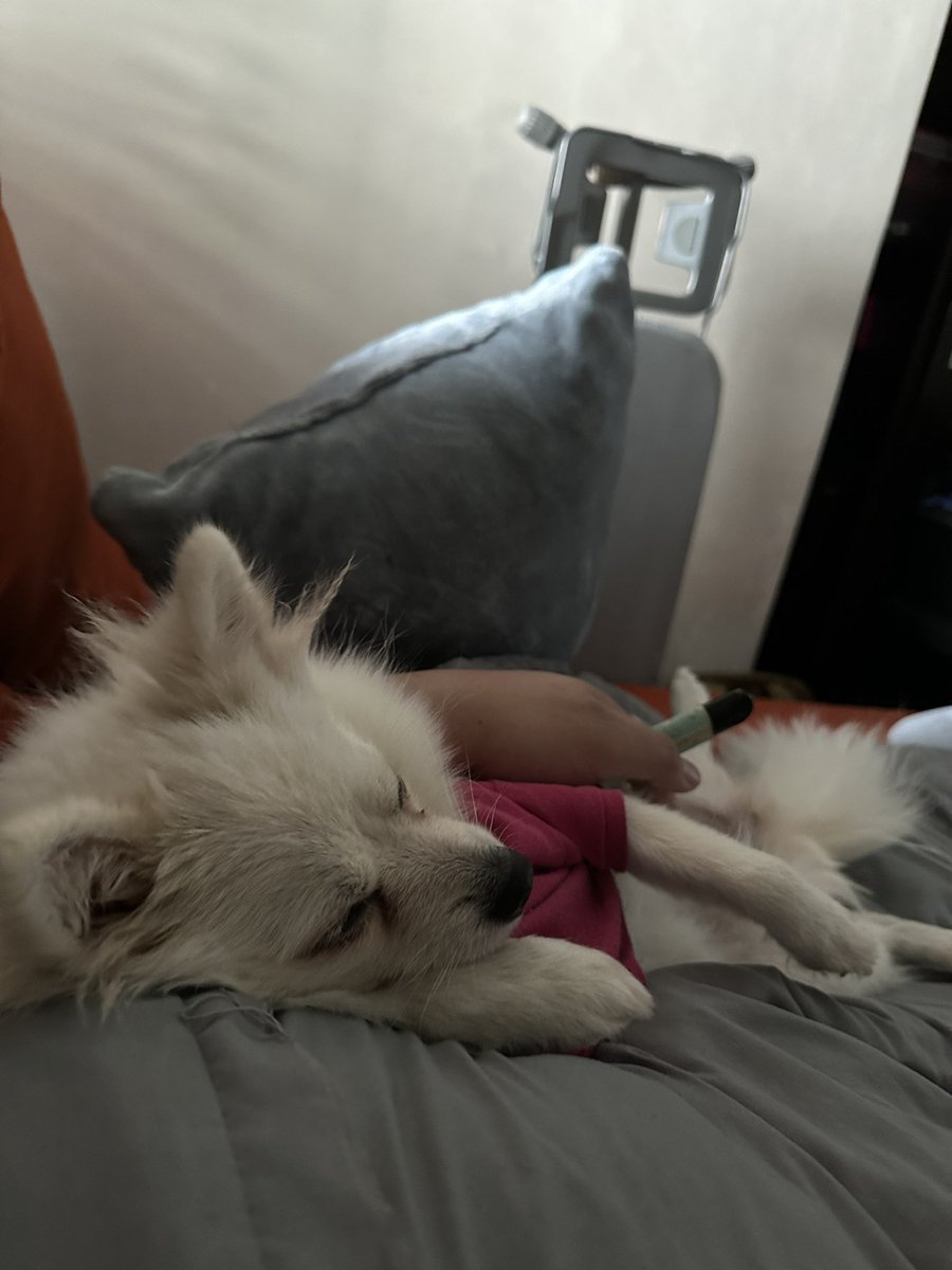 Ryomartt's tweet photo. Cuddle talaga malala https://t.co/92yBW1DVY1