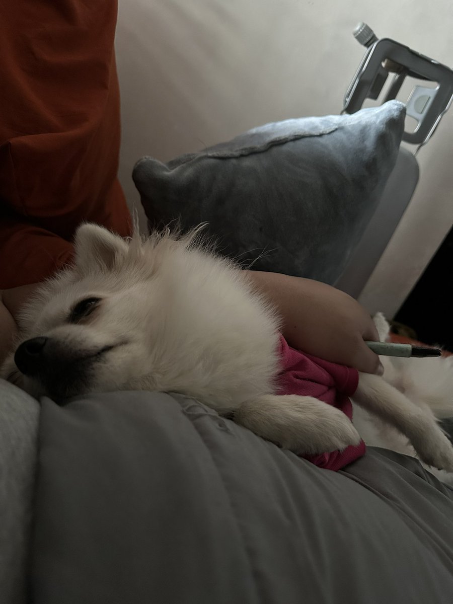 Ryomartt's tweet photo. Cuddle talaga malala https://t.co/92yBW1DVY1