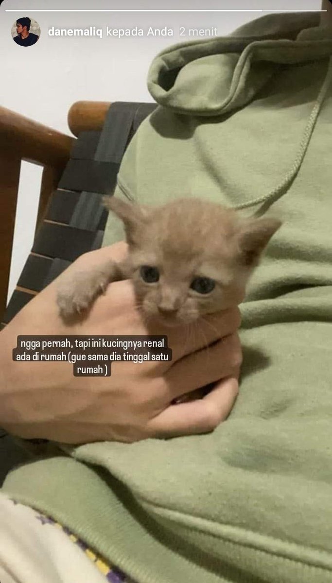 aksaraula's tweet photo. 103. dane, renal, bang tama, bang yatno, remi sama naja itu punya satu rumah yang disewa bareng-bareng, tapi yang tinggal menetap disana cuma dane, renal sama bang tama https://t.co/Wt4n9QW2g6
