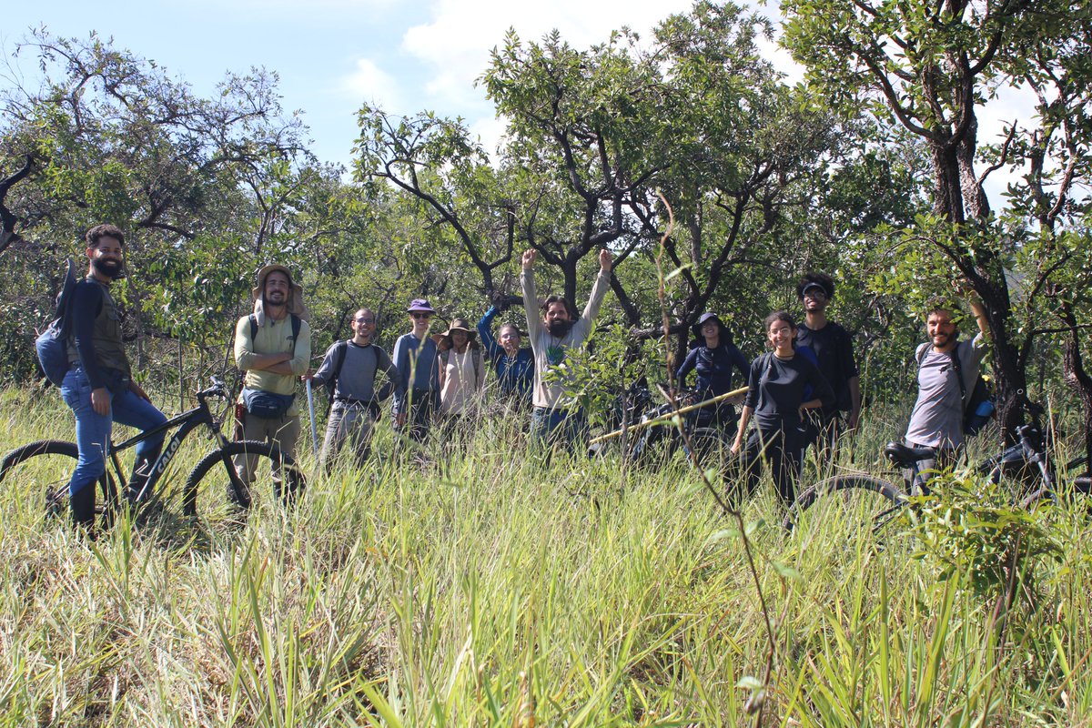 dneves_ecology's tweet photo. We had a fun(!) week setting up three 1-hectare plots in the cerrado savannas of the Serra do Cipó, SE Brazil.

This is part of "SECO: Resolving the current and future carbon dynamics of the dry tropics"  https://t.co/bVrPjnTSeW

(glad our next trip will be in the dry season 😅) https://t.co/mGJOqmnEzc