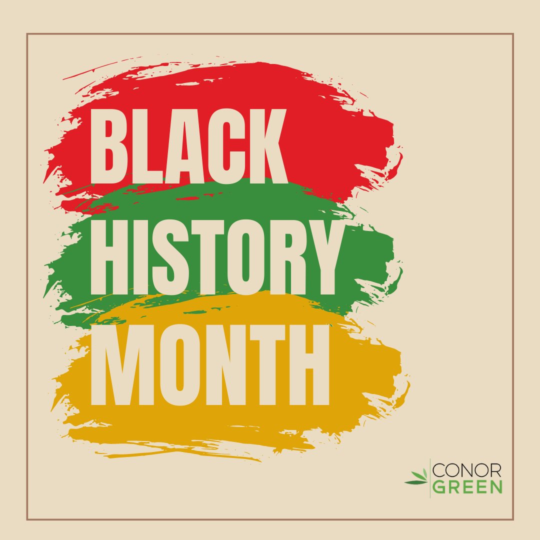 ConorGreenLLC's tweet photo. The list and support doesn't end there.
This #blackhistorymonth Conor Green supports all aspects of Black history and life, and it's important that you do too. Check our bio for more resources. https://t.co/nFS9touMqt