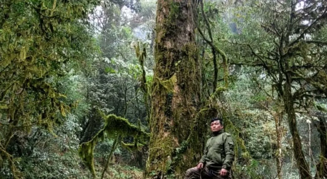 kpiforest's tweet photo. "The woods are lovely dark and deep.But I have promises to keep ,and miles to go before I sleep".The prestine beautiful forest in KKRF.Patroling by the dedicated team of Kangpokpi Forest Division @NBirenSingh @BiswajitThongam @DiprManipur  @moefcc https://t.co/FNeyZDgARd