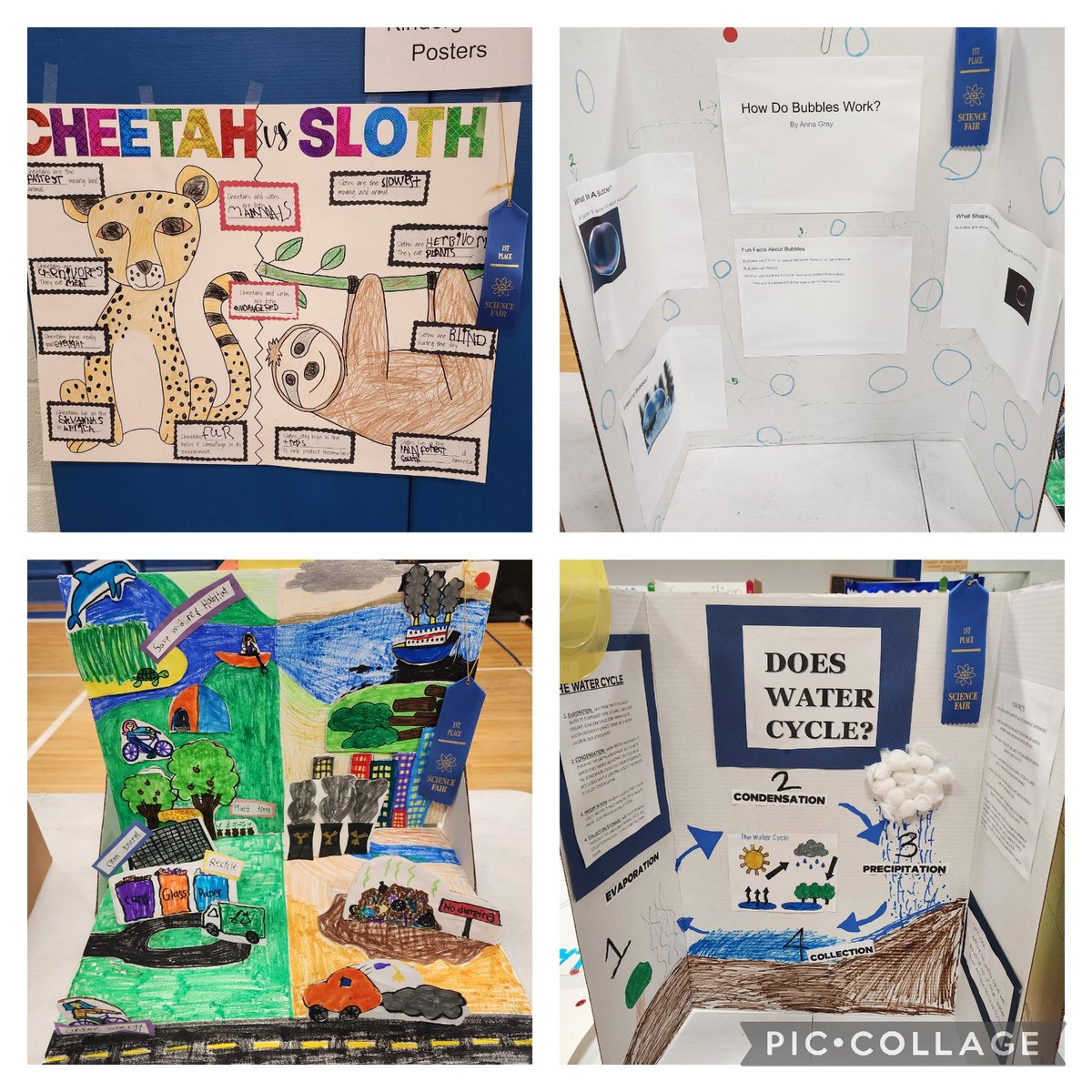 Amanda Rachford (@amandarachford) on Twitter photo I spy some wonderful science fair projects at tonight's DES Science Fair. <a href="/Desbears/">Dickson Elementary</a> <a href="/DLWeeks83/">Danny L. Weeks, Ed.D.</a> <a href="/ErnestineAdams/">Ernestine Adams</a> <a href="/RobbieLecomte/">Robbie Lecomte</a> I spy some wonderful science fair projects at tonight's DES Science Fair. <a href="/Desbears/">Dickson Elementary</a> <a href="/DLWeeks83/">Danny L. Weeks, Ed.D.</a> <a href="/ErnestineAdams/">Ernestine Adams</a> <a href="/RobbieLecomte/">Robbie Lecomte</a>