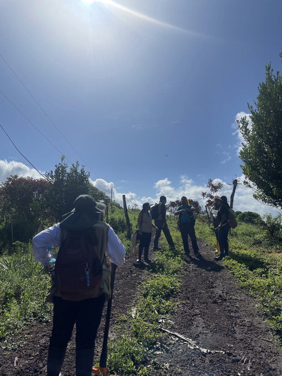 SamyHidalgo1990's tweet photo. Nos encontramos en Galápagos por un proyecto de investigación, participan estudiantes de las carreras de geología y de ingeniería Civil @FictESPOL https://t.co/y7LWNHsy4B
