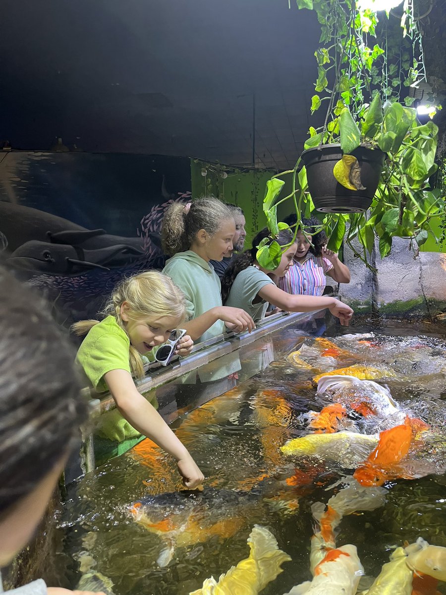 MsBowers_'s tweet photo. We took a field trip to the Austin Aquarium yesterday and the kids had a blast. It was so interactive and engaging. 🐠🦑 https://t.co/mYkgBQXdWZ