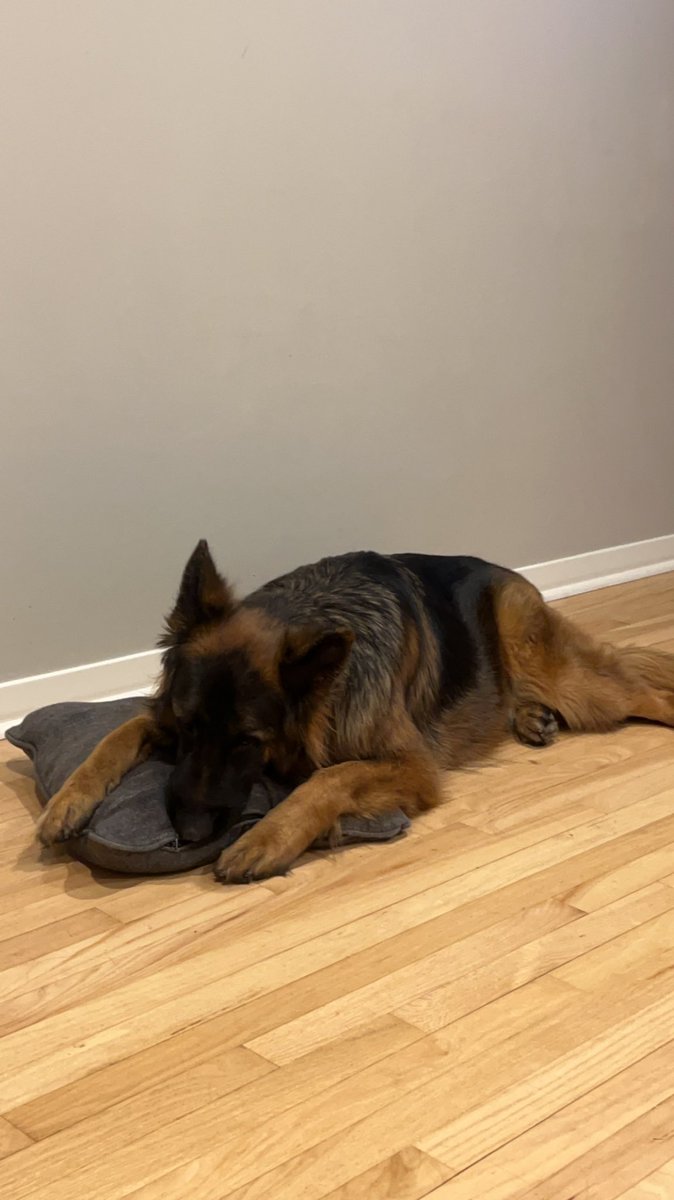 kirst 🌻 tweet media