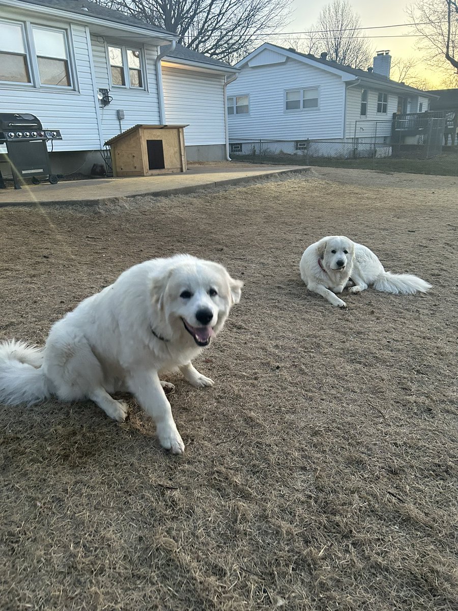 kirst 🌻 tweet media