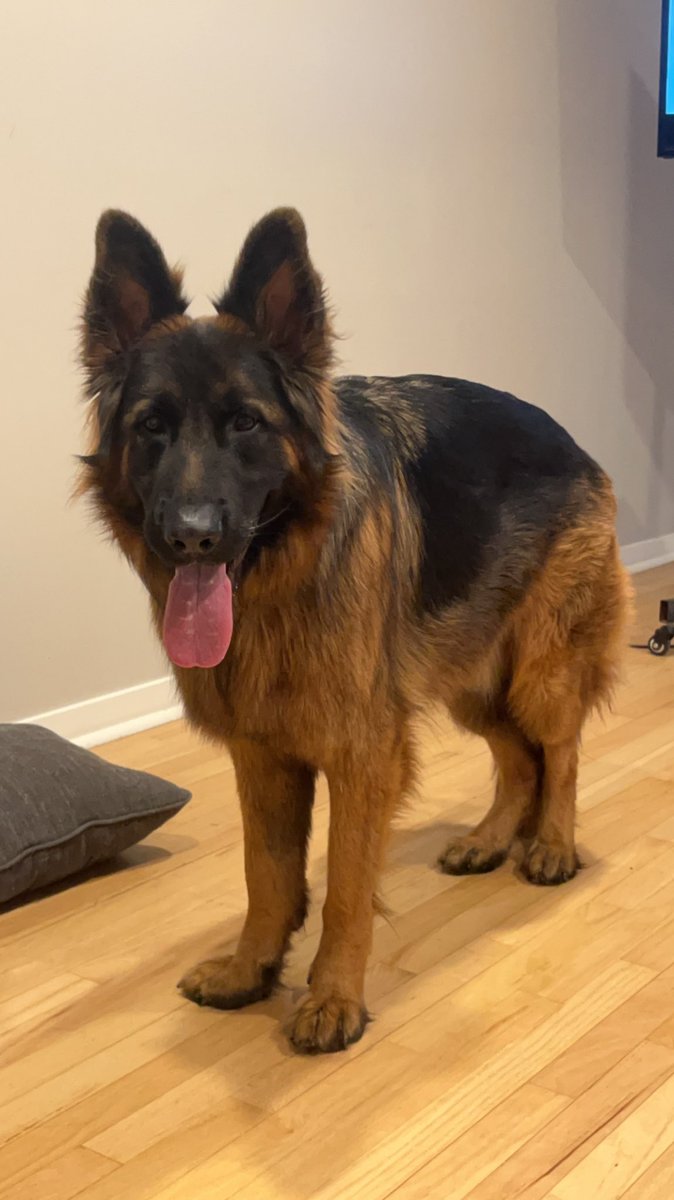 kirst 🌻 tweet media