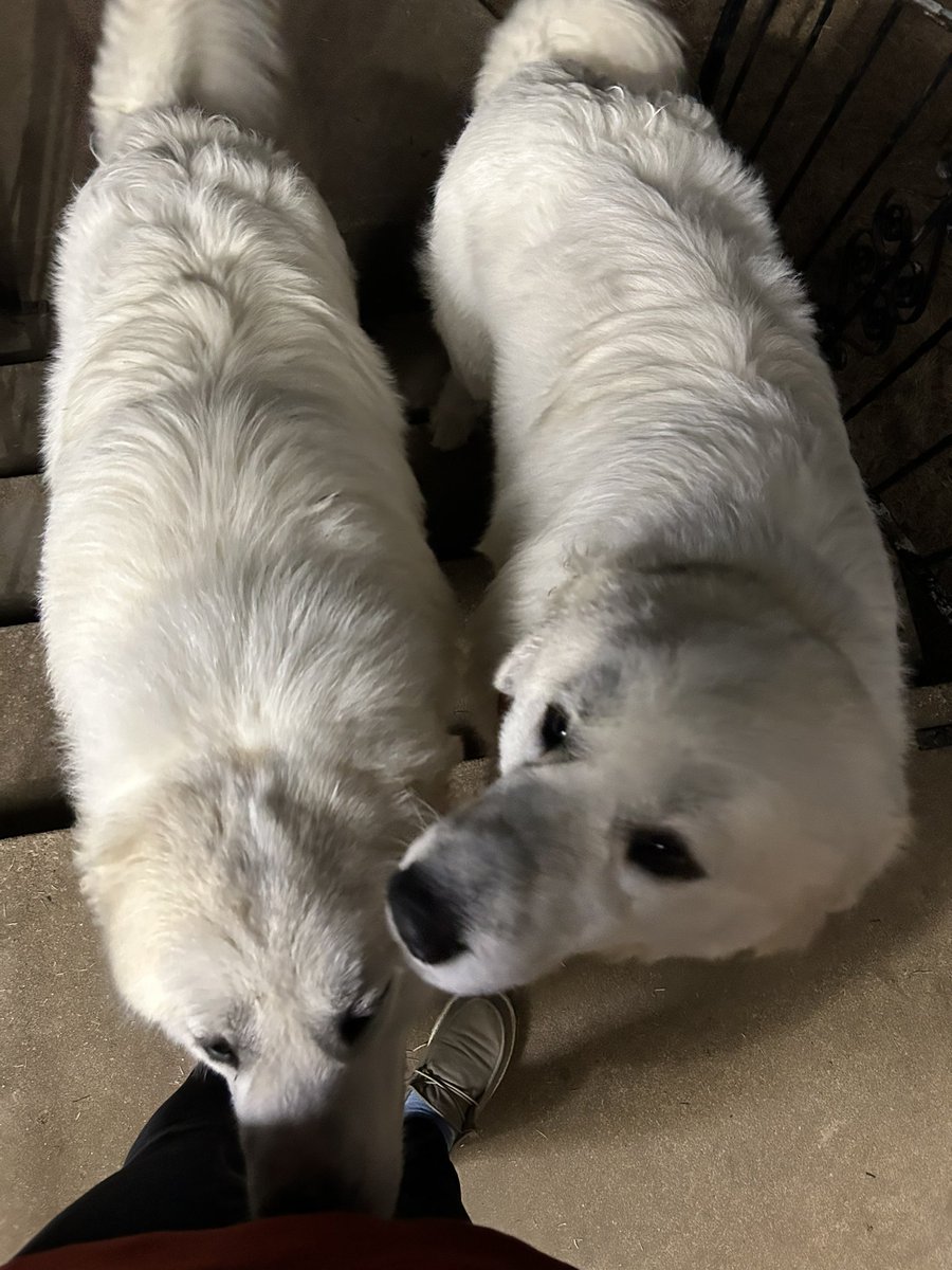 kirst 🌻 tweet media