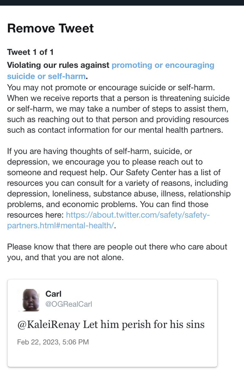 OGRealCarl's tweet photo. Twitter really cares about this cat https://t.co/GL5IZPkug7