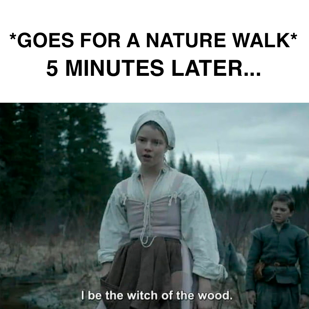 WitchesNewWorld's tweet photo. Nothing like a morning walk in the woods!

#TheVVitch #witches #witchcraft #BlackPhillip #witch #wanderlust #ThWitch https://t.co/1eUJid4t10