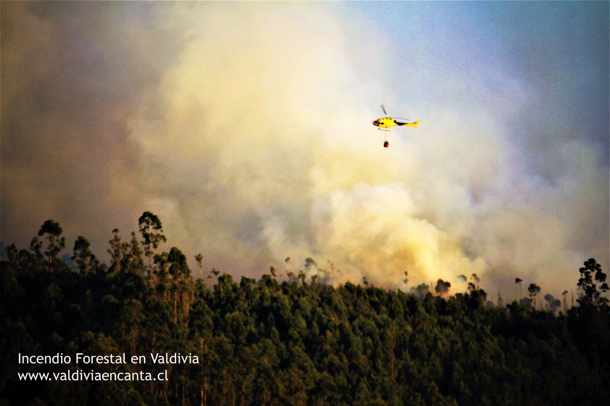 INCENDIO FORESTAL EN VALDIVIA(1)
Desde mi Balcón este ha sido hoy mi paisaje.
Los Incendios Forestales Causados por Holding Forestales 'Terroristas Medioambientales' que amenazan  sin importar consecuencias.
#cqvaldivia #biobio #australlsrios #soychile  #radioaustral #valdiviatv